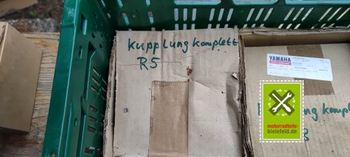IMG_20230824_174621_1
